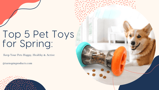 Top 5 Pet Toys for Spring: Keep Your Pets Happy, Healthy & Active - TurnSpin