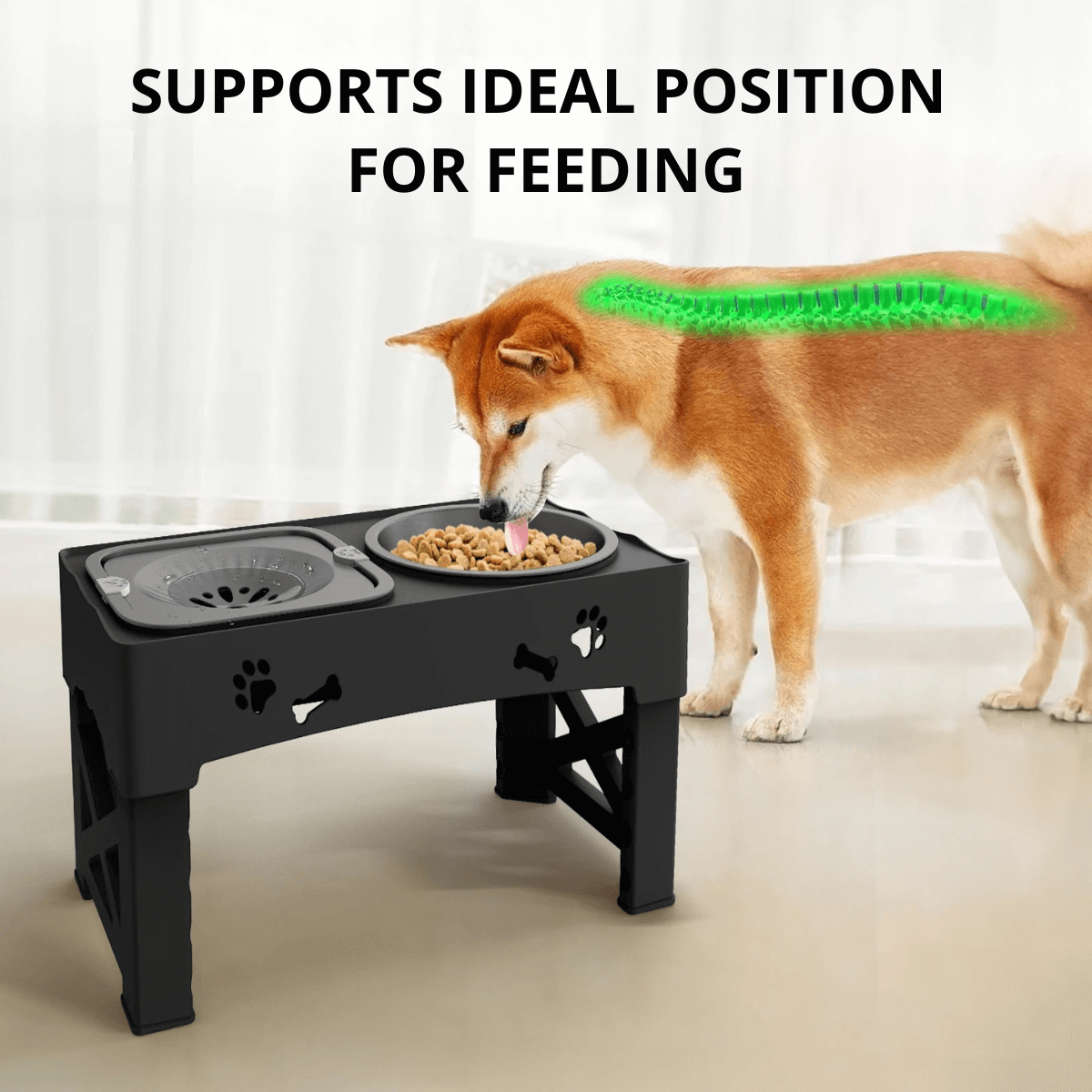 Adjustable Pet Feeder