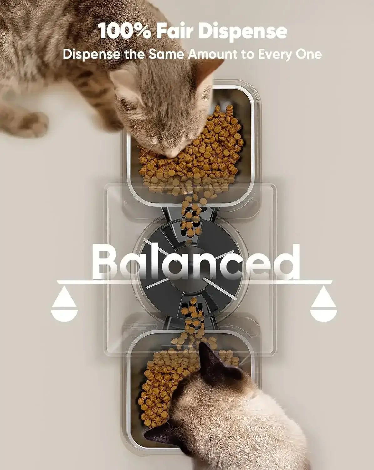 Automatic Cat Feeder