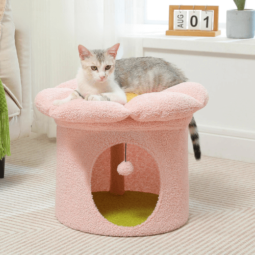 Luxury Flower Cat Bed