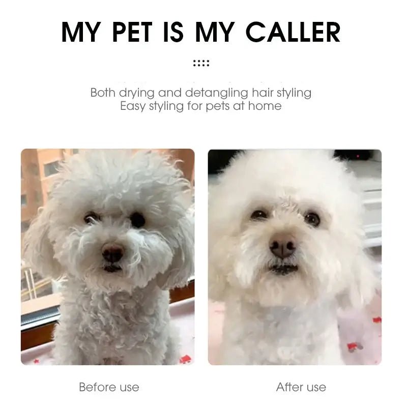Pet Hair Dryer - TurnSpin