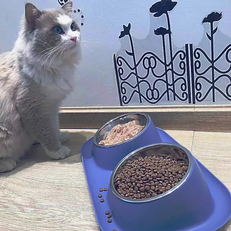 Stainless Steel Double Food Bowl - TurnSpin