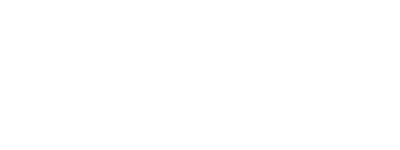 TurnSpin