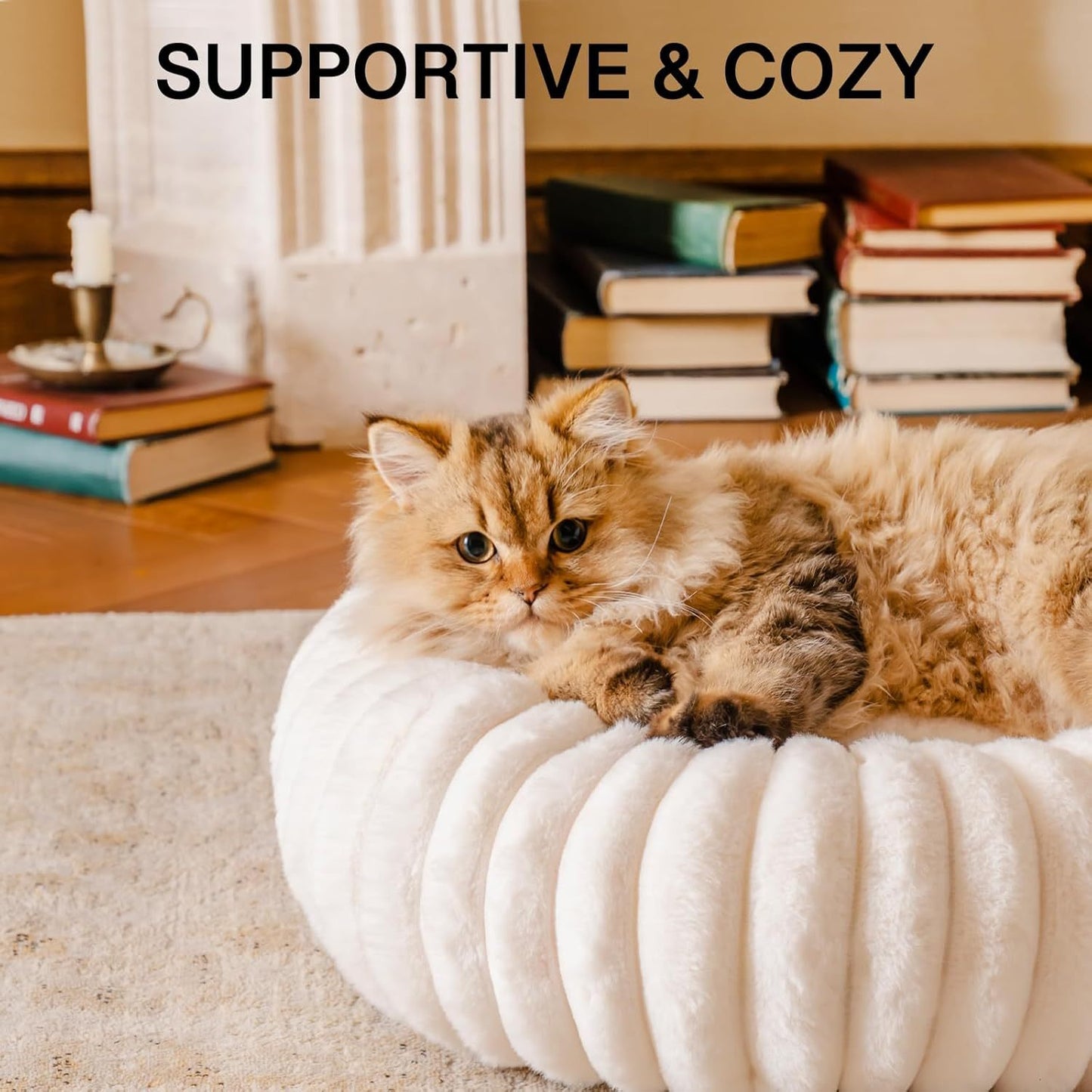 Donut Pet Bed – Washable, Calming, Anti - Slip for Dogs & Cats | Small & Medium - TurnSpin