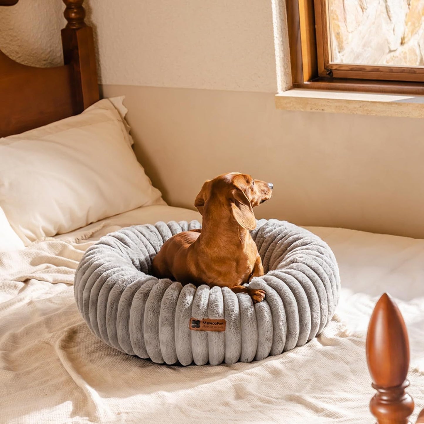 Donut Pet Bed – Washable, Calming, Anti - Slip for Dogs & Cats | Small & Medium - TurnSpin