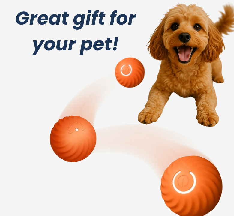 Happy dog playing with Happy Hopper motion toy under text ‘Great gift for your pet!