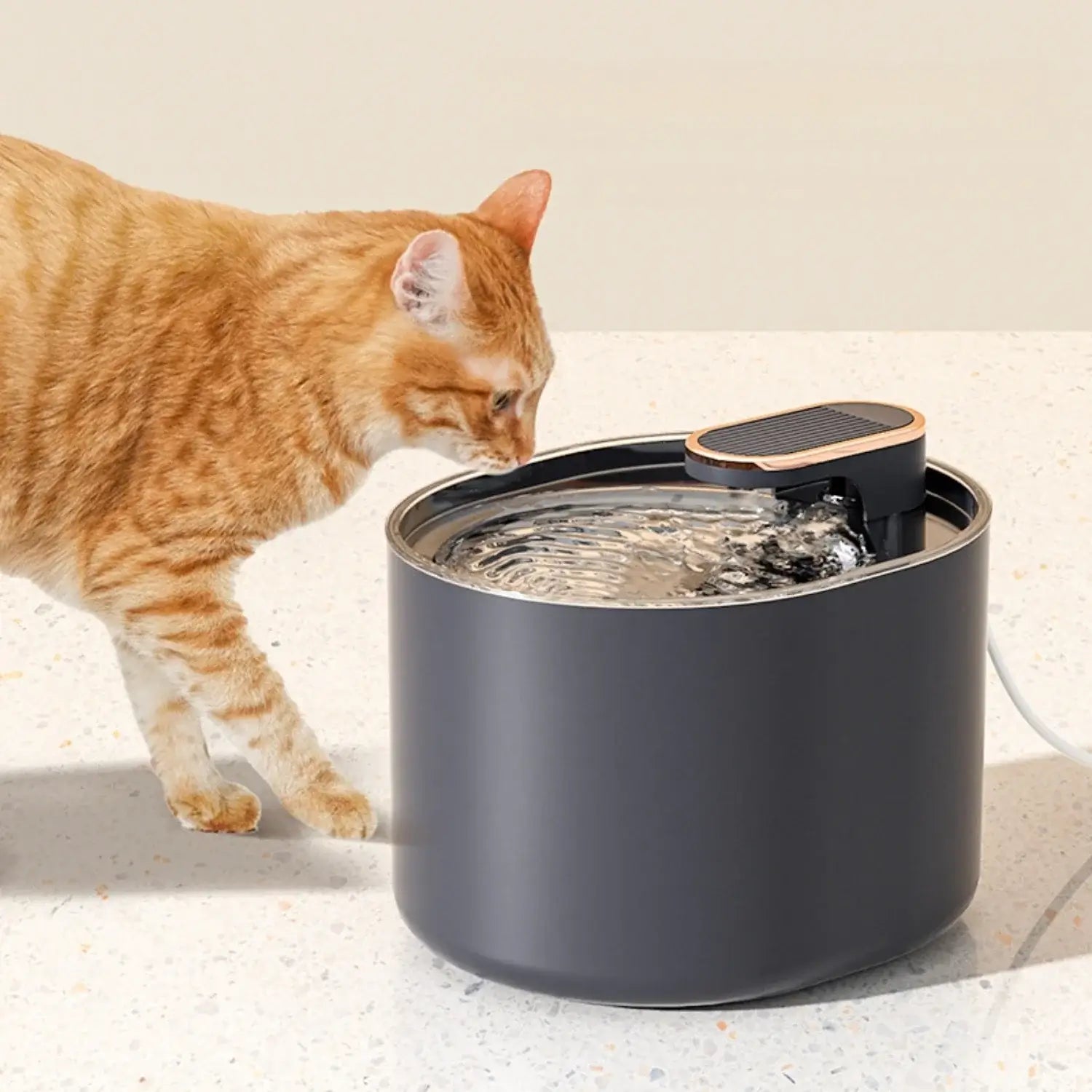 3L Automatic Pet Water Fountain - TurnSpin
