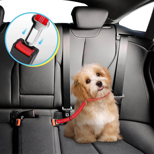 Dog Seat Belt