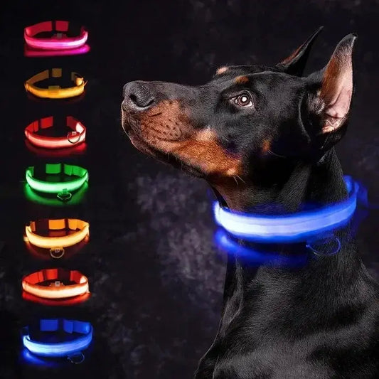 glowing dog collar