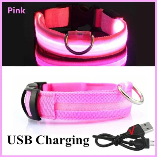 glowing dog collar