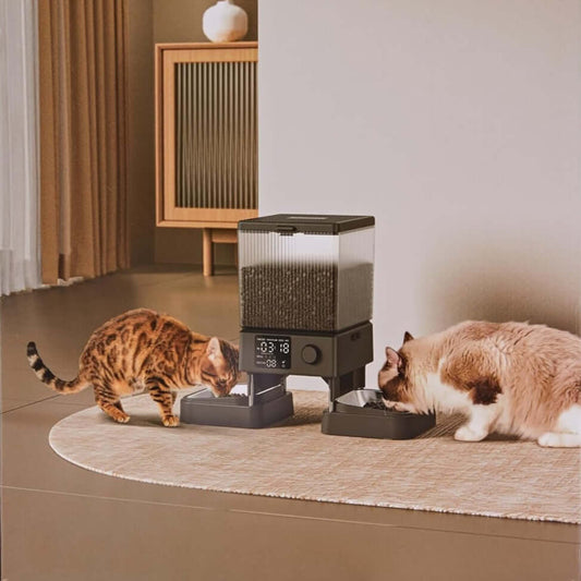 Automatic Cat Feeder