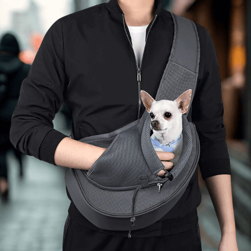 Dog Carrier