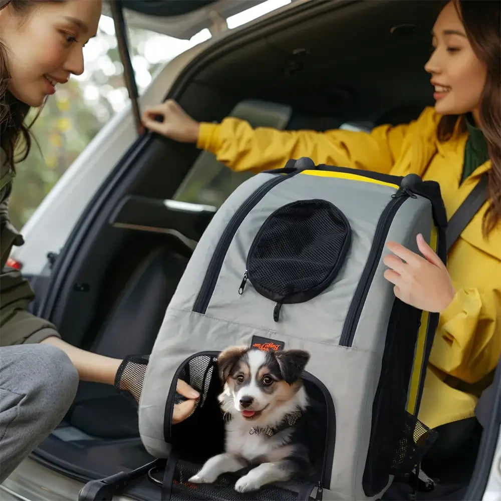 Best Pet Stroller