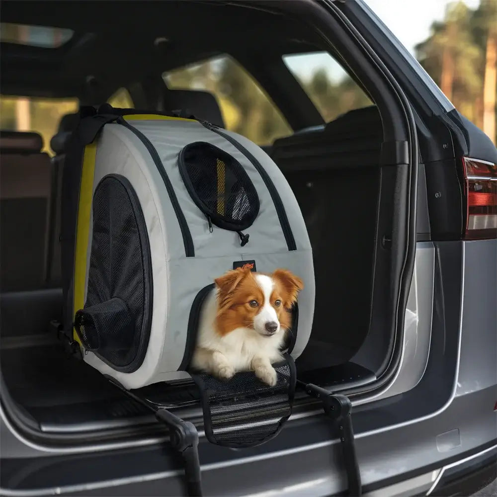 Best Pet Stroller