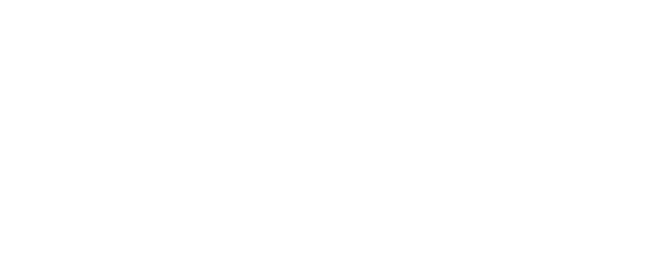 TurnSpin Logo