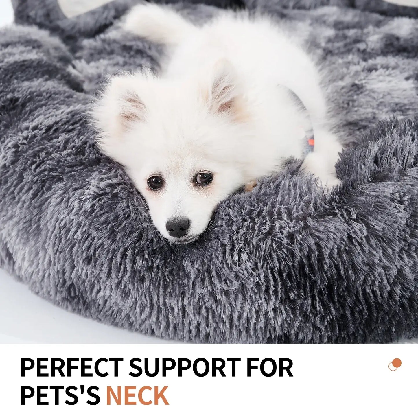 Paw Style Pet Bed