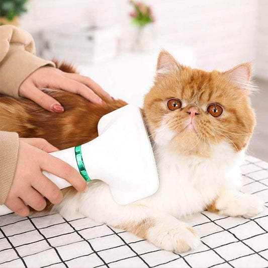 Pet Hair Dryer