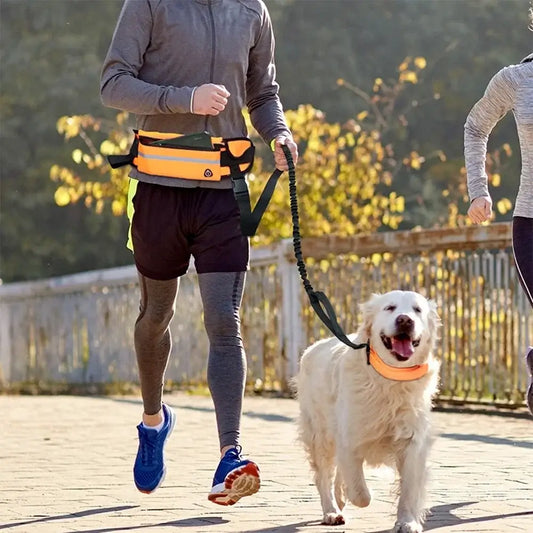 Pet Waist Leash