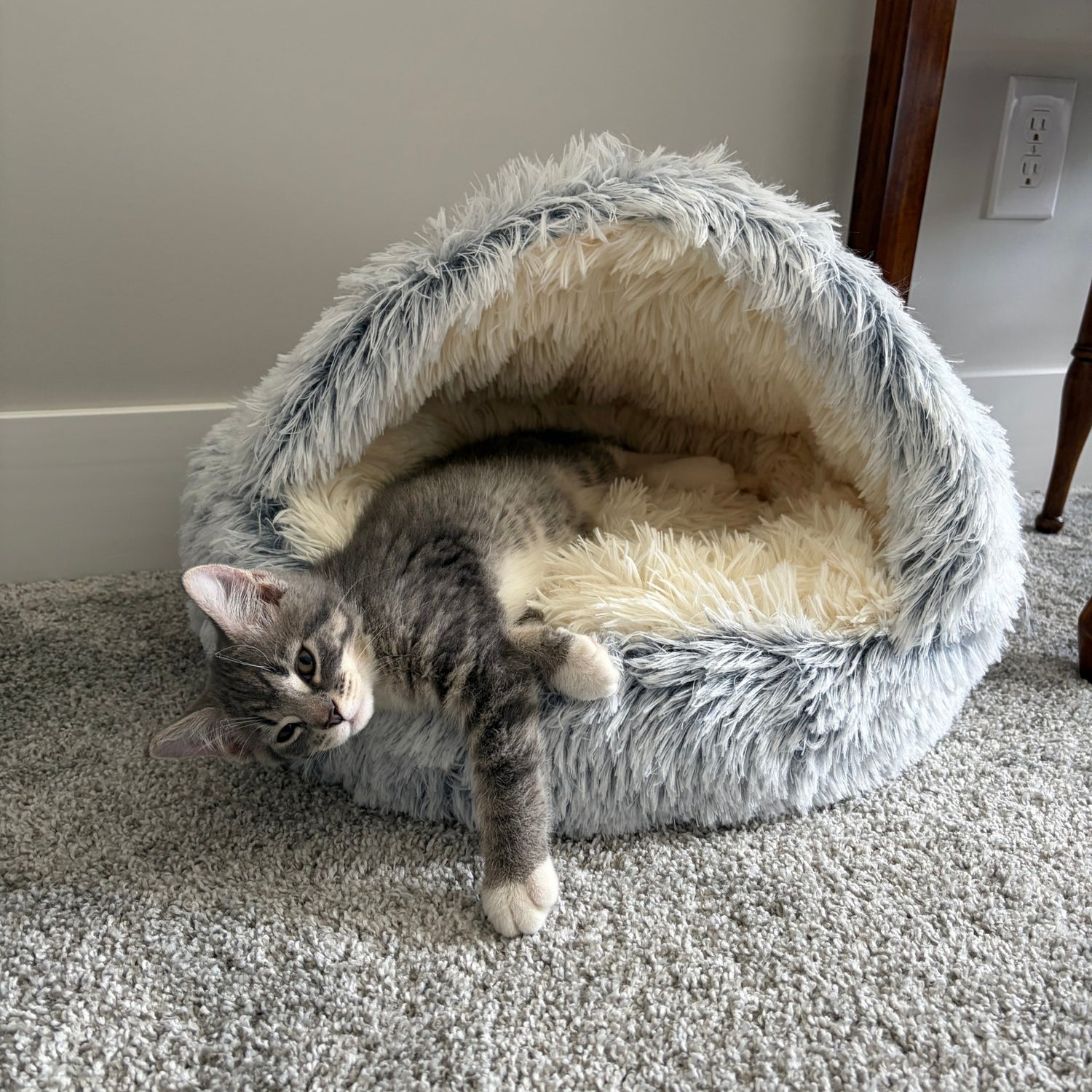 Cat resting inside the gray TurnSpin Burrow Bed